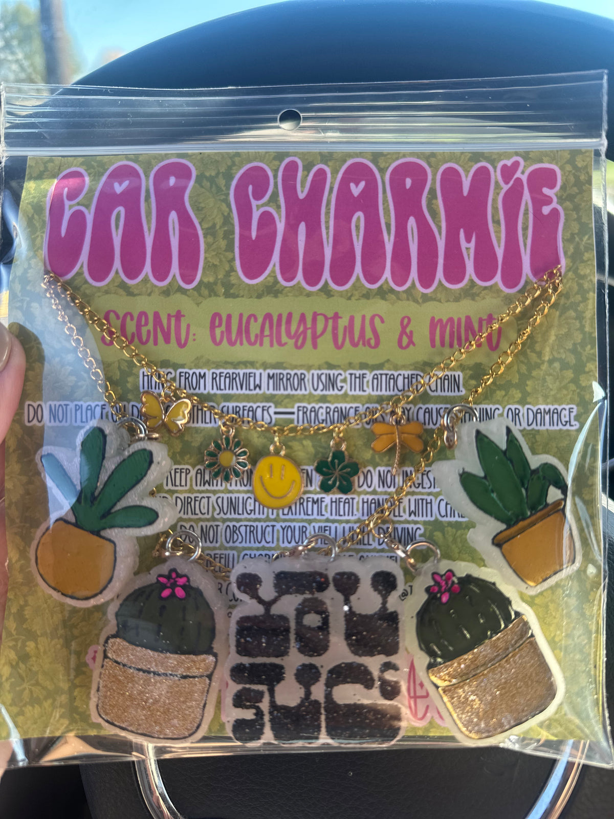 You Succ Plant Car Charmie