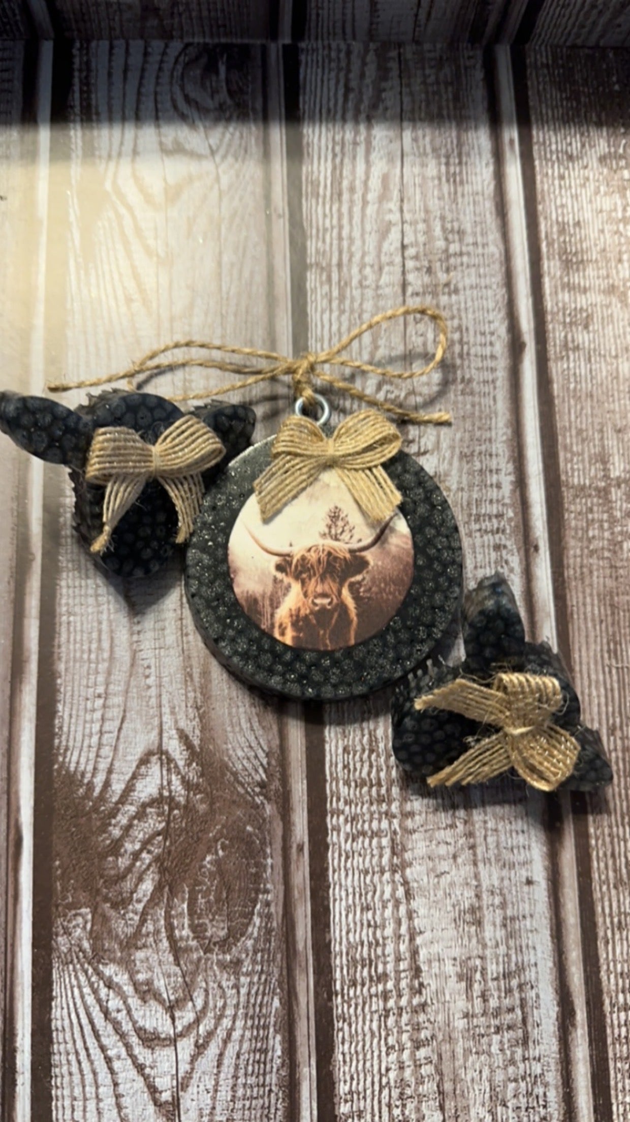 Highland Cows Freshie