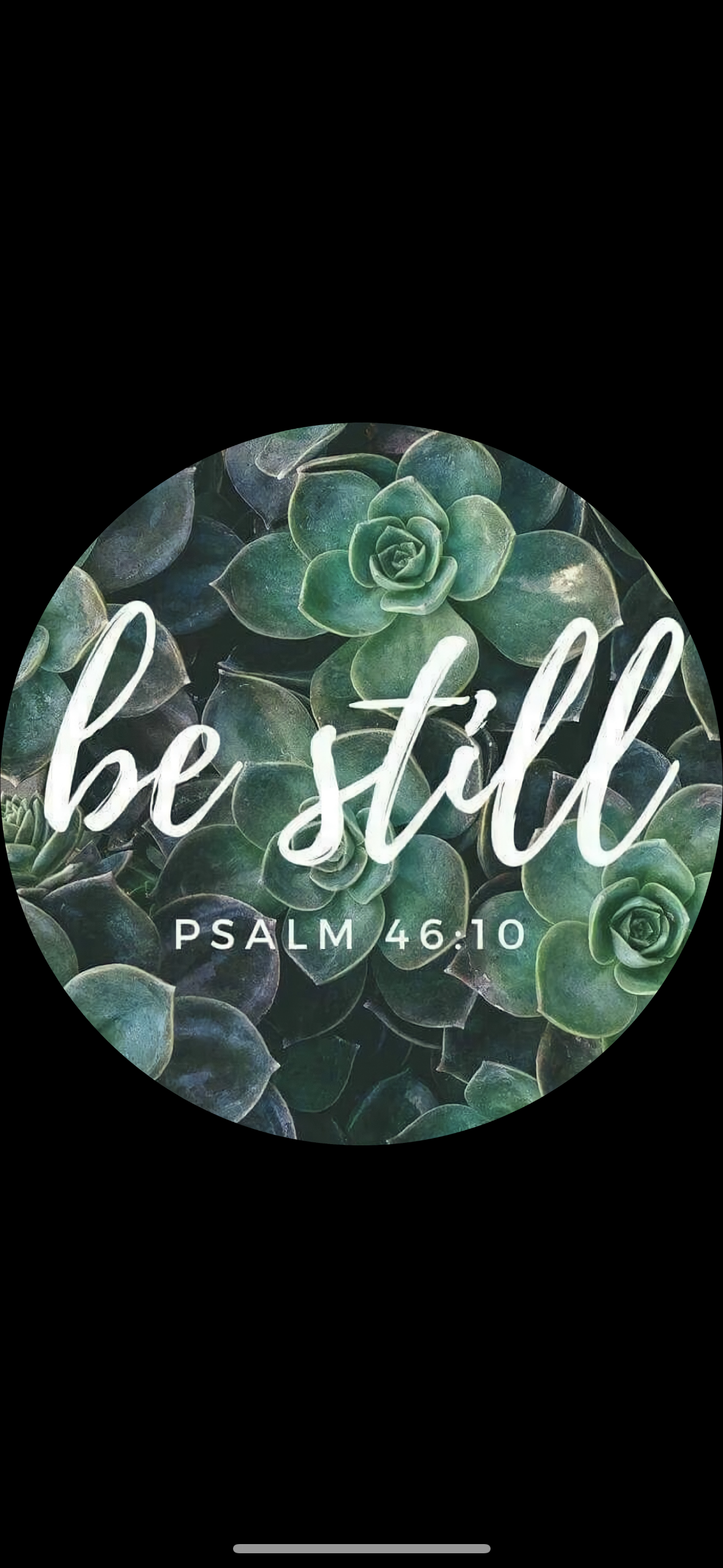 God Freshie The Stout Steer