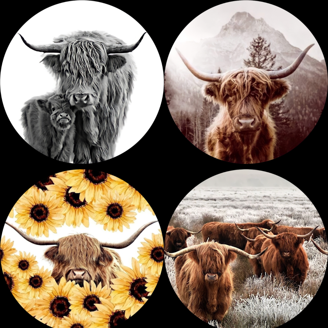 Highland Cows Freshie The Stout Steer