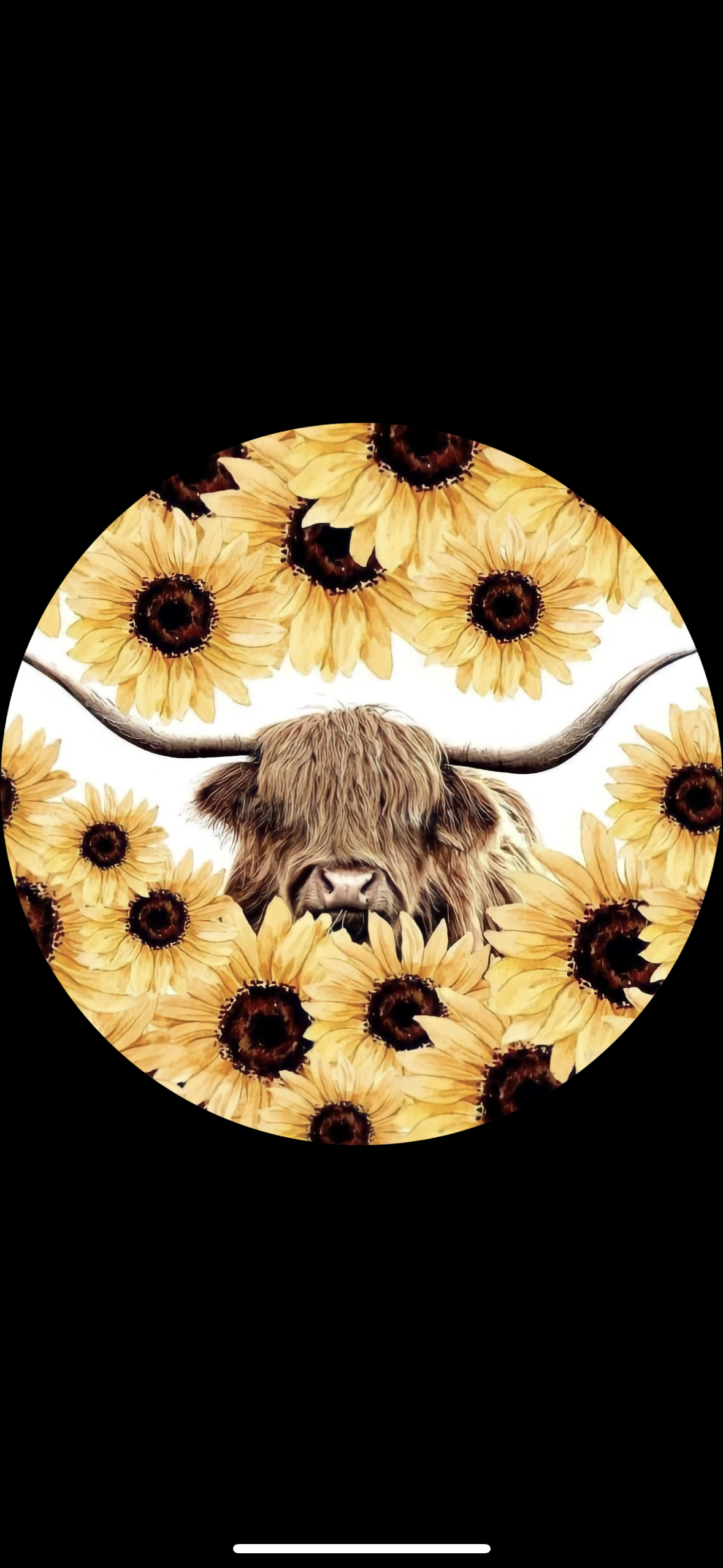 Highland Cows Freshie The Stout Steer