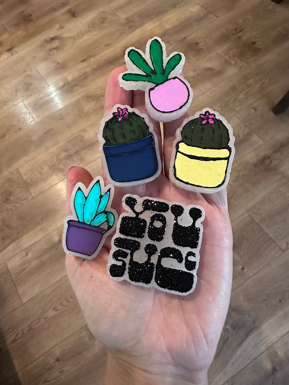 You Succ Plant Car Charmie