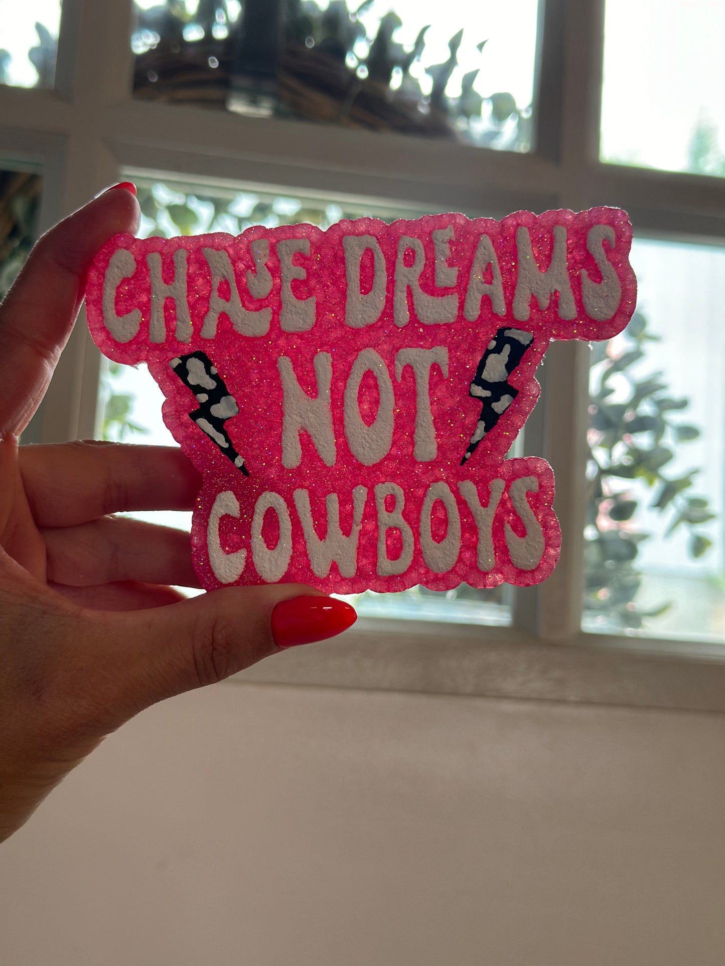 Chase Dreams Not Cowboys Freshie