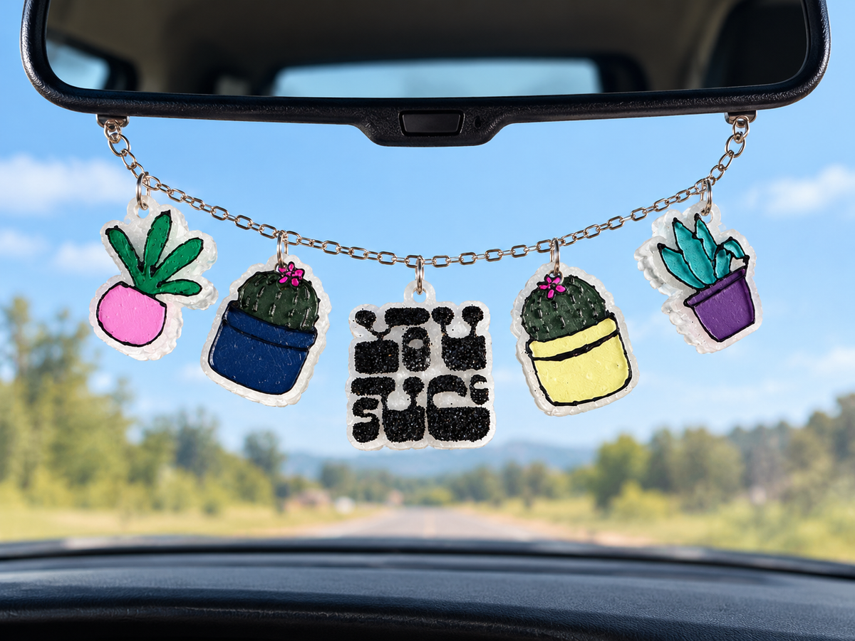 You Succ Plant Car Charmie
