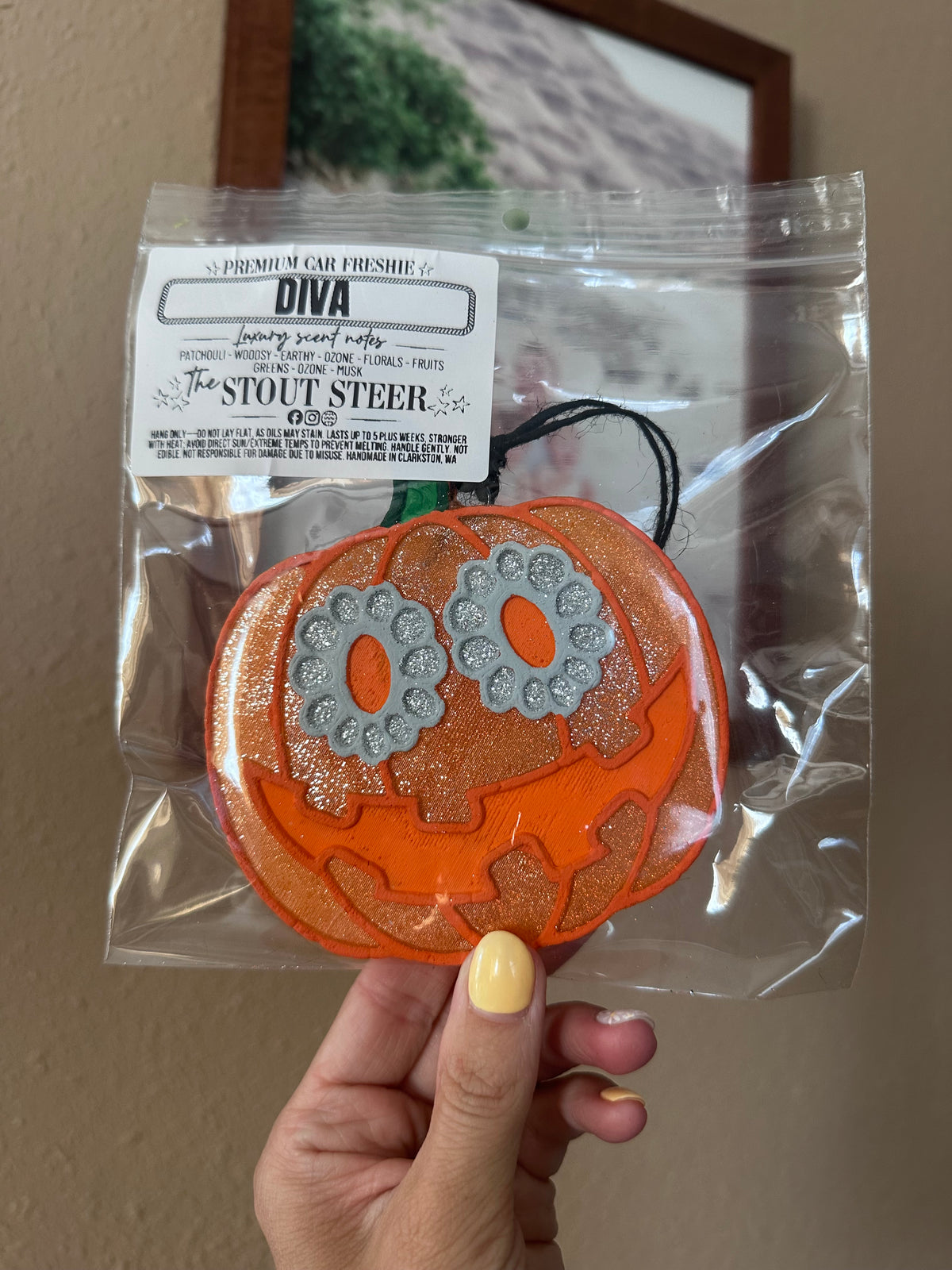 Concho Eyes Pumpkin Freshie