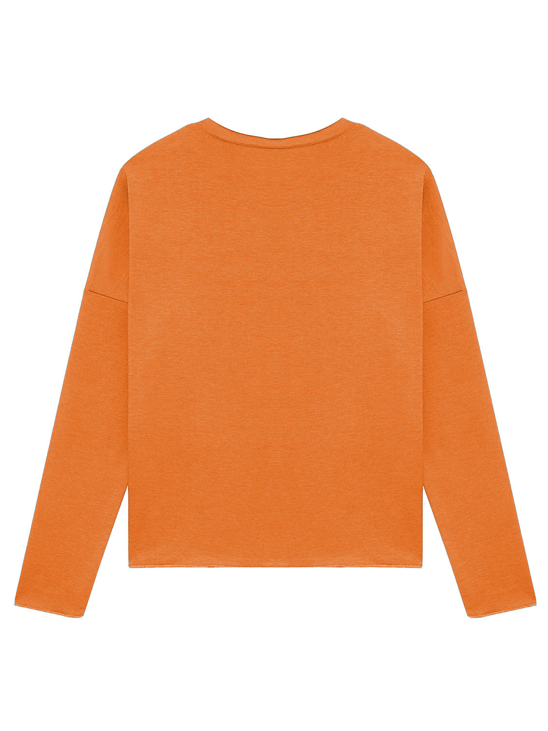 SAVE THE PUMPKIN Graphic Full Size Sweatshirt The Stout Steer