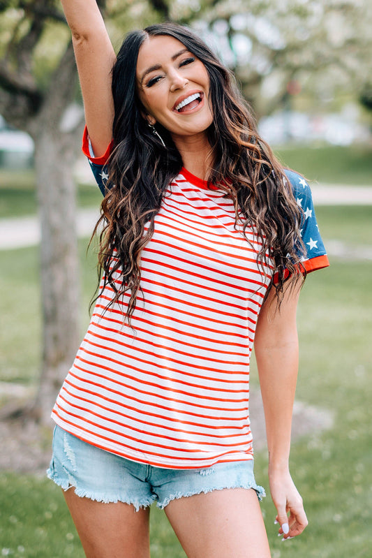 Stars and Stripes Tee Shirt The Stout Steer